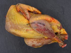 Pintade fermière